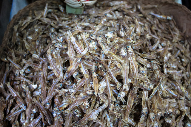 East Bali Market - Dried Fish