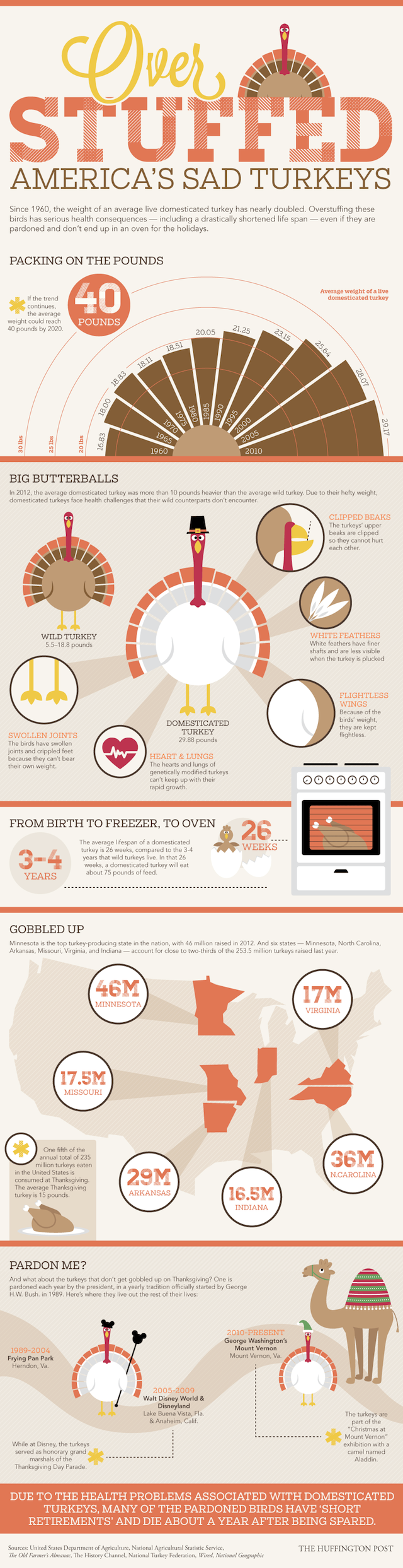 Turkey Infographic png