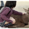 Japanese School Girl Fondles a Sika Deer in Nara