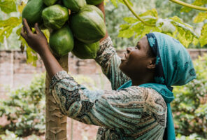 Women-Led Organic Kitchen Garden Programs